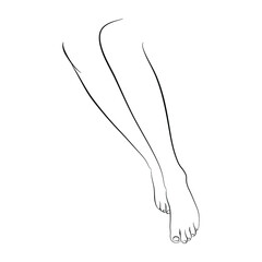 Vector illustration of woman's legs