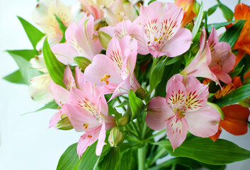 Bouquet of colorful alstroemeria flowers background. Alstroemeria flower is colorful. Close-up.