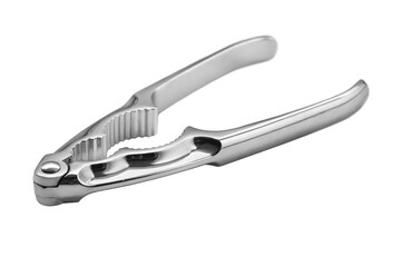 Obraz premium Metal nutcracker or Crab cracker