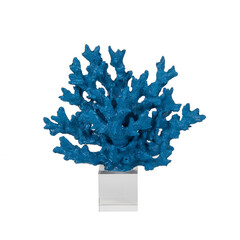 abstract coral figure accessory isolated on white
