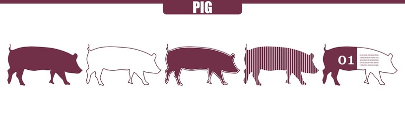 Pig farm animal. Livestock various flat icons set.