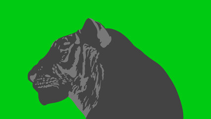 greenbackground Illustration of a profile of a tiger