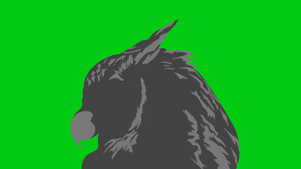 greenbackground illustration of a profile of a owl