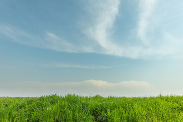 Background of sky and grass with blue sky and clouds.