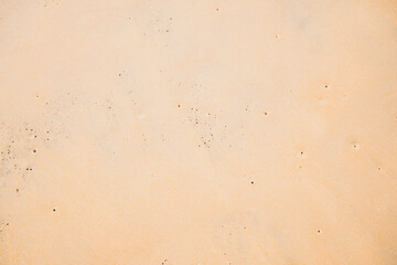 Golden sand nature shore dune desert clean beach background.