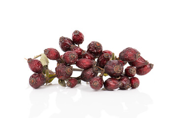 Twigs of dried rose hips isolated on a white background. The concept of traditional medicine, treatment with natural medicinal plants. Close-up. Copy space. Selective focus.