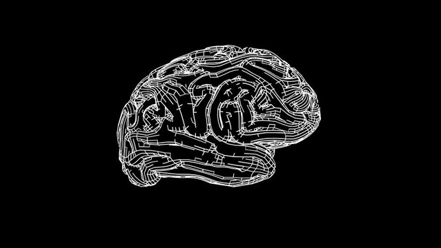 Sketchy style Human brain white on black background Looped Animation