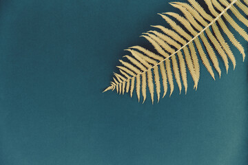 Obraz premium A branch of a fern lies on a blue background.