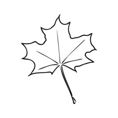 fall leaf clipart, black and white leaf drawing, vector clipart