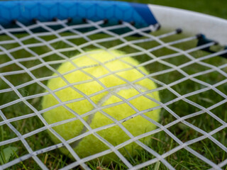 Close up selected focus of synthetic gut racquet strings on a  tennis ball lying on the lawn of a grass court