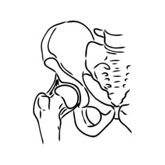 Hip Bone line icon vector illustration logo design.