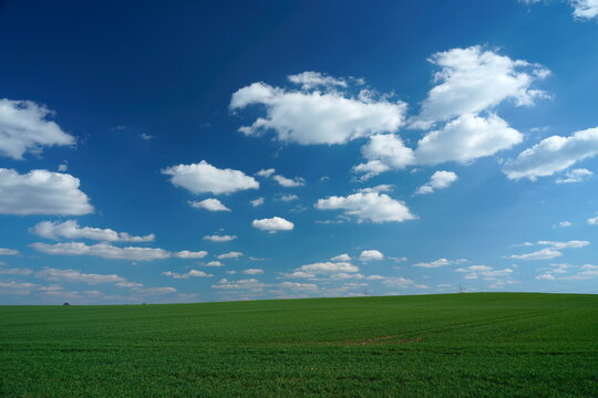 grünes Feld vor blauem Himmel mit weißen Wolken