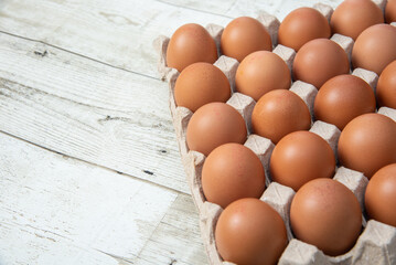 Chicken eggs in the system, closed farm, transport system, organic, organic - obrazy, fototapety, plakaty