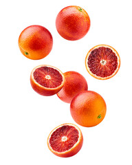 Falling red blood orange, isolated on white background, clipping path, full depth of field