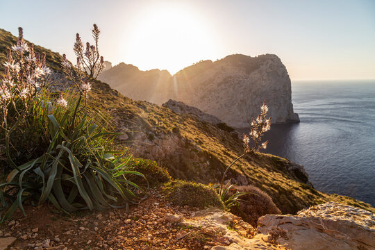 Mallorca cliffs viewpoint, near Cap de Formentor, overlooking Punta d'en Tomas at the sunset