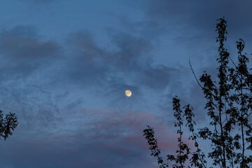 Evening moon at sunset
