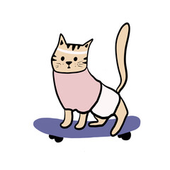 Cat on skateboard, sports cat