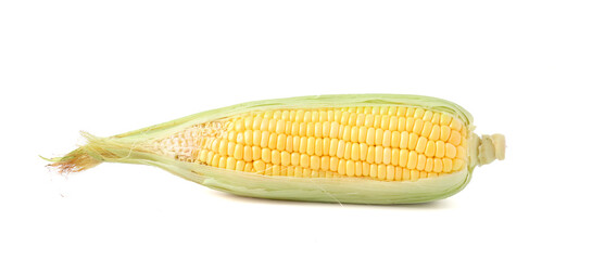 Fresh organic corn isolated on white background