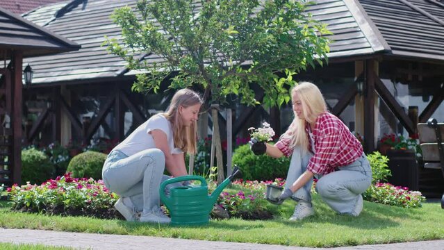 Attractive blond woman planting flowers with her pretty daughter on backyard. Side view of beautiful caring mother with cute female child smiling, while working in garden. Concept of gardening.