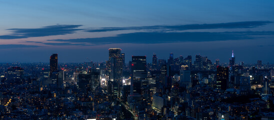 Tokyo Shinjyuku and Shibuya area panoramic view at magic hour.	

