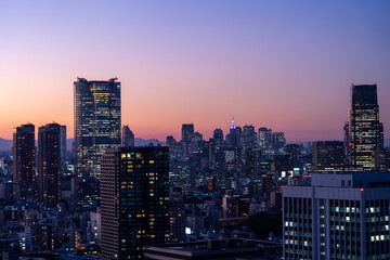 Fototapeta na wymiar Tokyo Shinjyuku and Roppongi area panoramic view at magic hour time. 