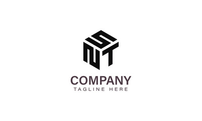 Letter SNT Logo, Three Letter Logo, Alphabet S N T Hexagon Shape Vector Icon Template
