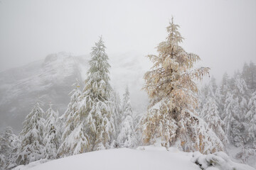 Snowing in the mountains