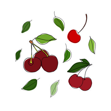 Cherry cherries vector one line drawing illustration leaves food fruits