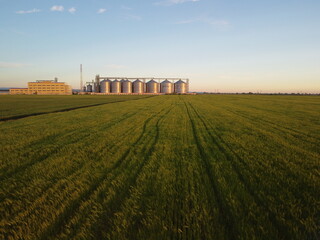 Fototapeta premium Grain elevator. Metal grain elevator in agricultural zone. Agriculture storage for harvest. Grain silos on green nature background. Exterior of agricultural factory. Nobody.