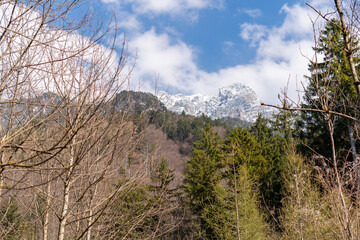 Alpine scenery in Schaan in Liechtenstein