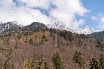 Alpine scenery in Schaan in Liechtenstein