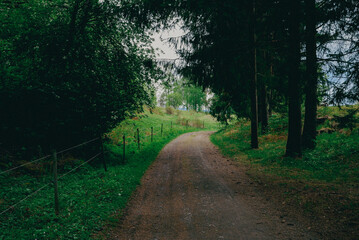 Along the pilgrimage route between Hoff and Balke medieval churches on Toten, Norway.