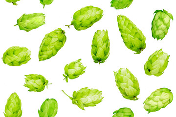 Hops cones, isolated on white. Seamless background pattern.