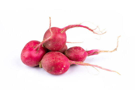 Rzodkiewka Bilder Durchsuchen 726 Archivfotos, und