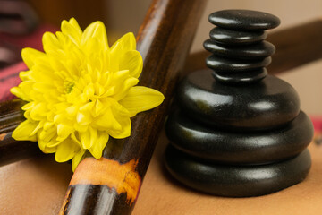 Composition of black hot basalt stones, bamboo sticks and yellow flower on female naked back....