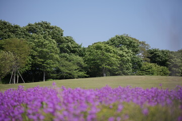 公園