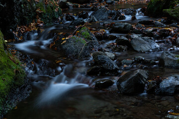 美しく神秘的な山の渓谷