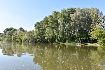 Fototapeta premium Danube River, on the Slovak-Hungarian border,