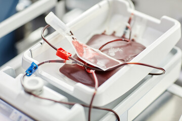 Close up of filled blood bags in tray at blood donation center, copy space