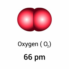 types of atomic radius of a chemical element. Atomic radius of oxygen.Vector illustration isolated on white background