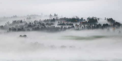 Misty autumn morning in the countryside