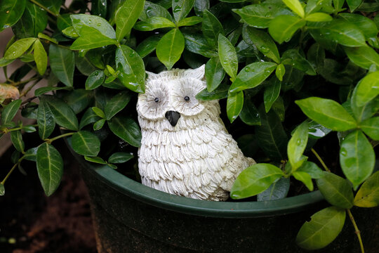 Dekorative Eule im Blumentopf