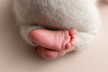 Fototapeta premium small feet of a newborn baby on a white background