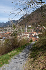 View over the city of Chur in spring time