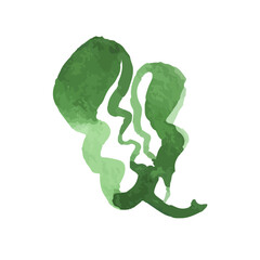 Leaf icons isolated on white background. Logo sign design. Modern brush ink illustration. Vector