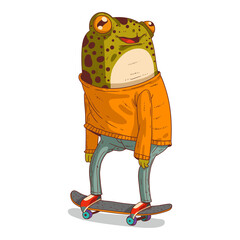 A Skateboarder, isolated vector illustration. Anthropomorphic teenager frog in a casual outfit riding a skateboard. Young humanized trendy dressed toad skater. An animal character with a human body.