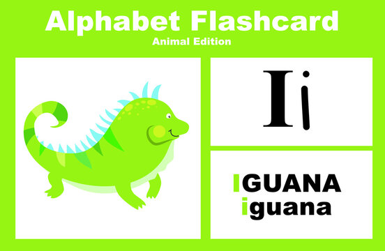 Printable Alphabet Animal Flashcards Collection For Learning English. Educational Game For Kindergarten And Preschool Kids. Cute Cartoon Characters. Vector Illustrations.