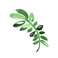 Leaf icons isolated on white background. Logo sign design. Modern brush ink illustration. Vector