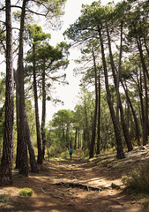 Unrecognizable Woman hiking through the forest.