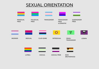 Banderas LGTBIQ+ de los diferentes colectivos con su nombre. Día del orgullo. Orientación sexual. 